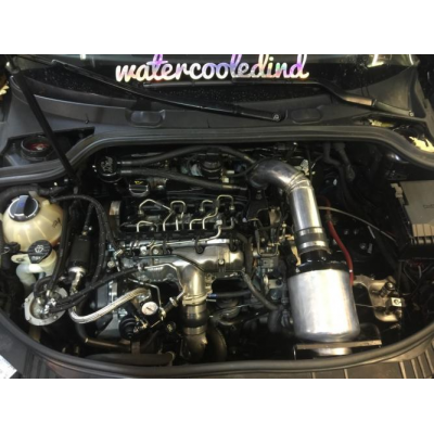Gene S 2011 Audi A3 2.0L CBEA CR TDI